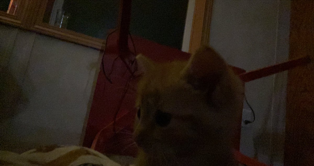 fireball vibing in the corner