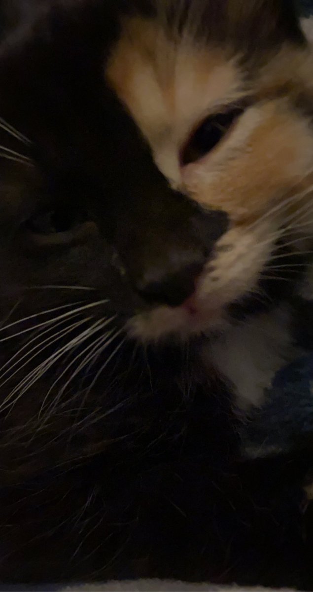 fireball vibing in the corner