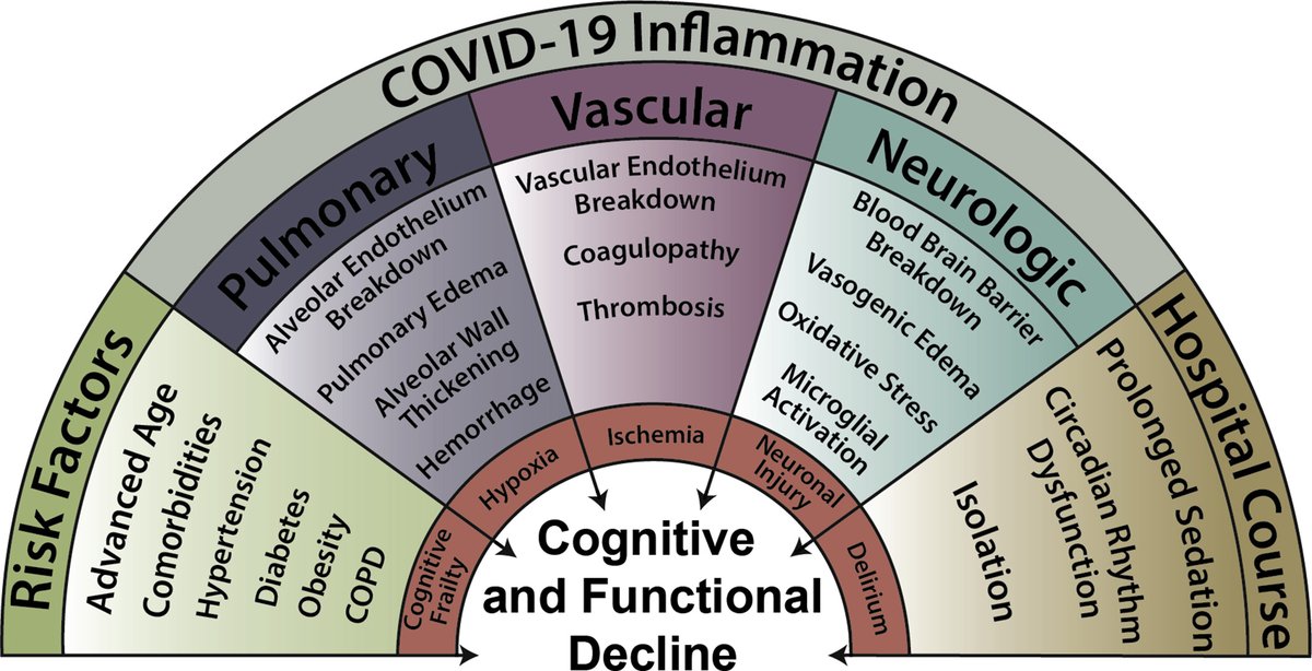 Beware the long-term consequences of COVID-19 @BJAJournals @lisbethevered bit.ly/2HlRU4a