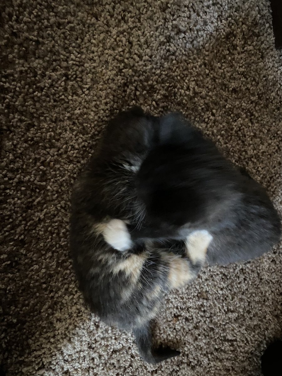 fireball vibing in the corner