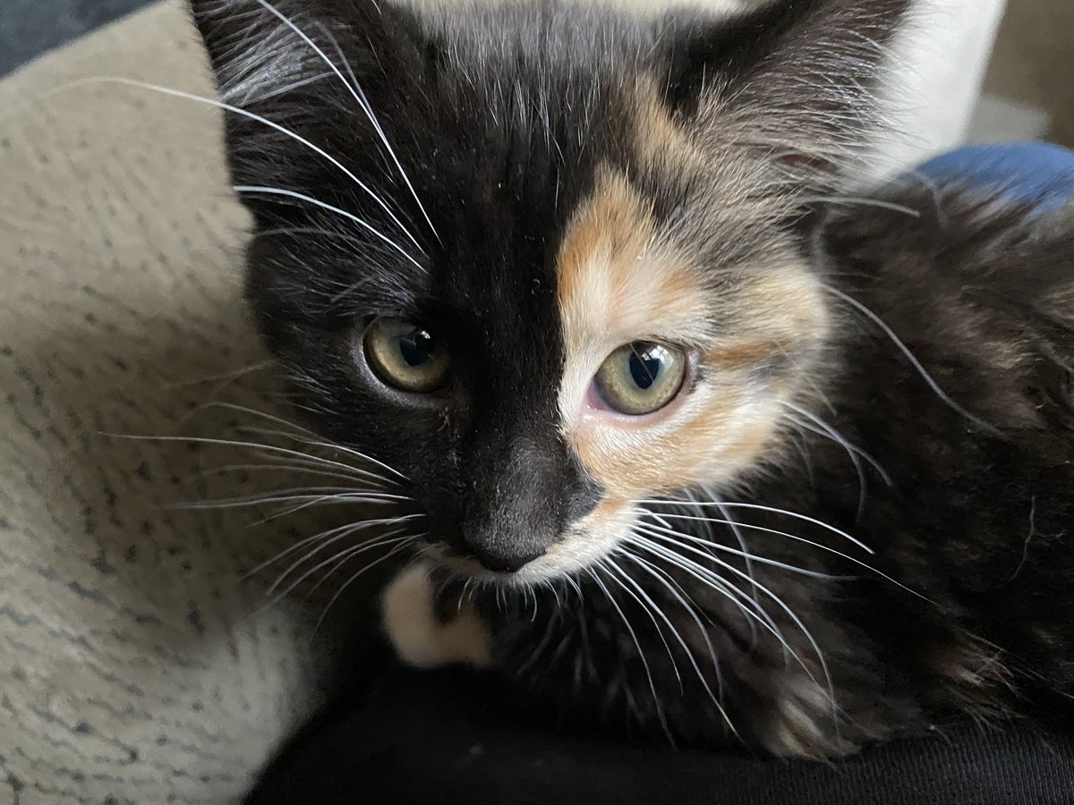 fireball vibing in the corner