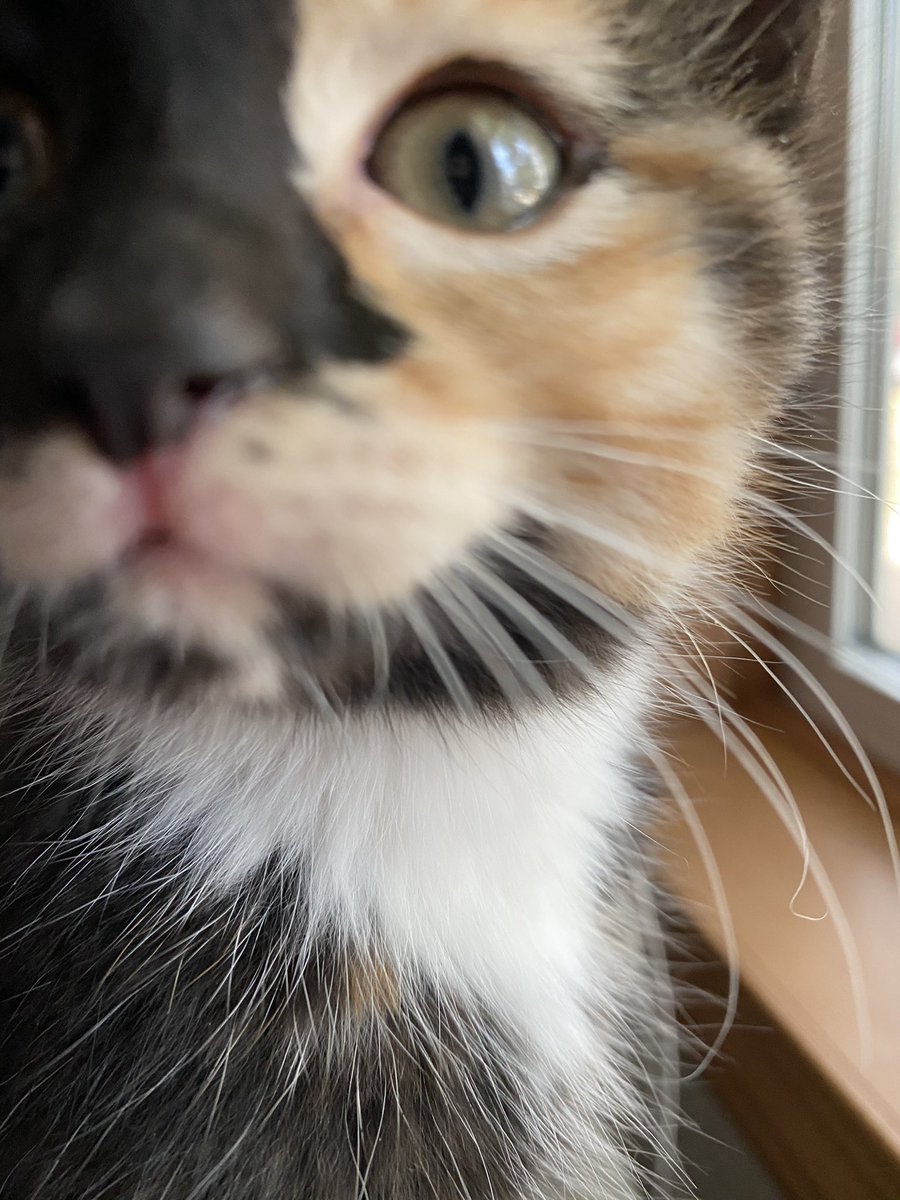 fireball vibing in the corner