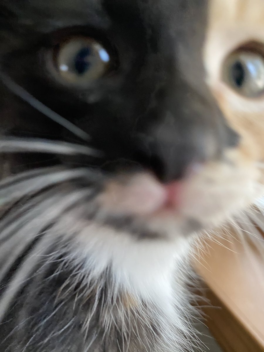 fireball vibing in the corner