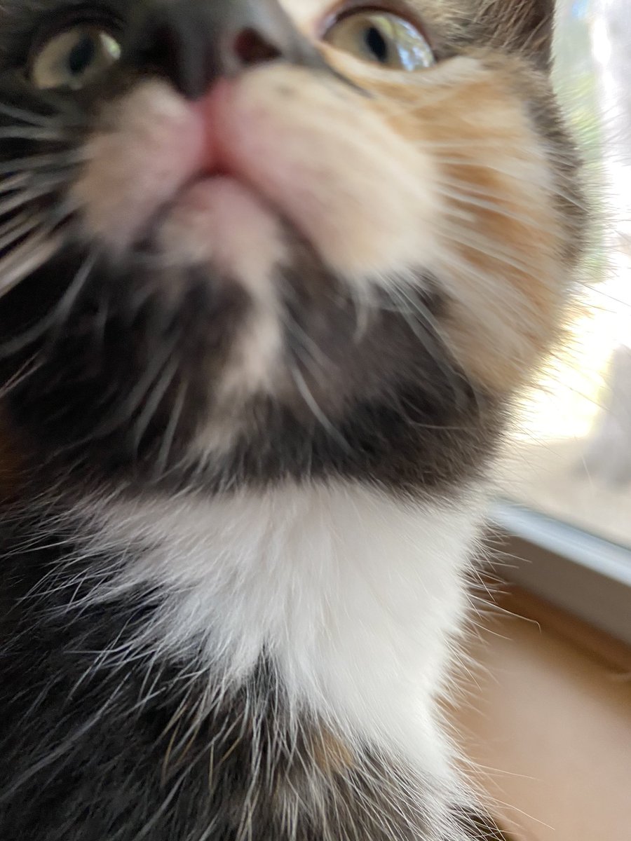 fireball vibing in the corner