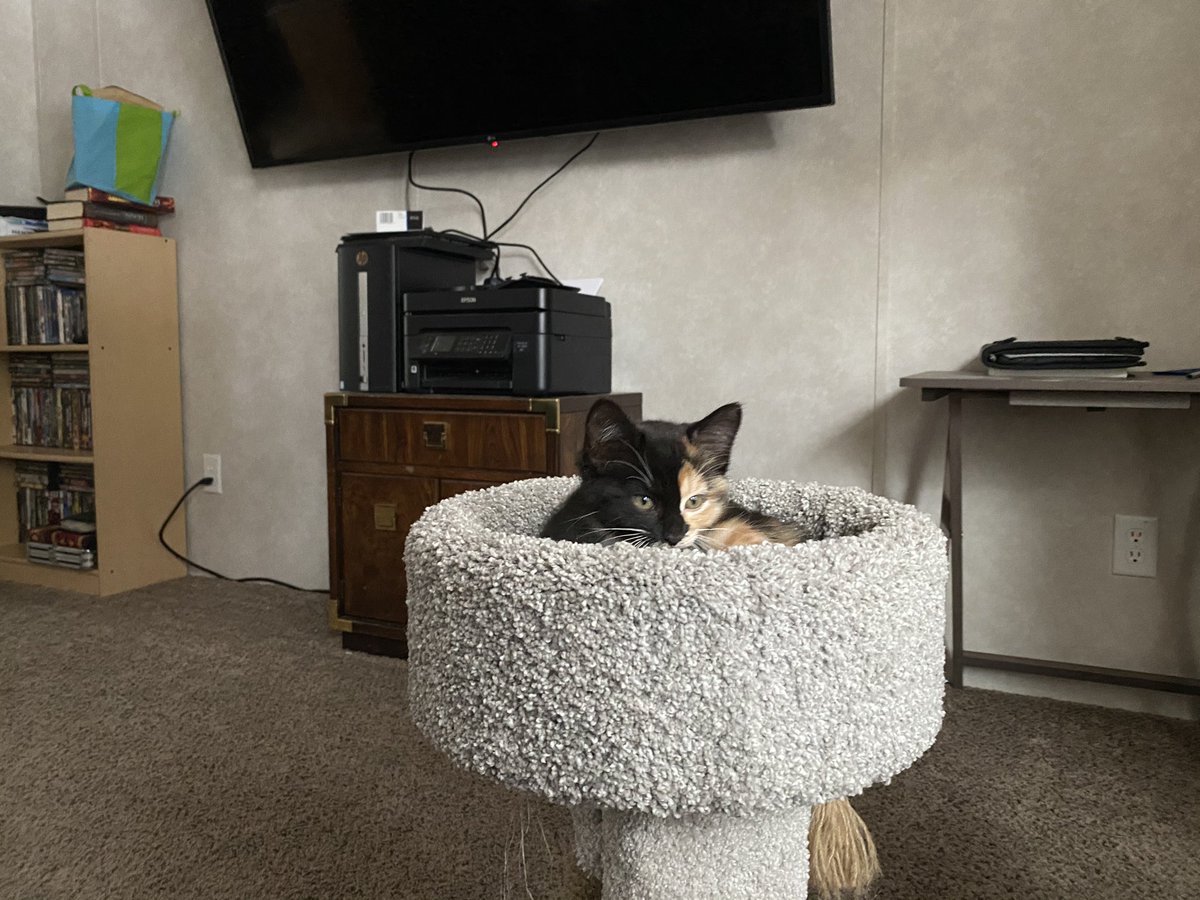 fireball vibing in the corner