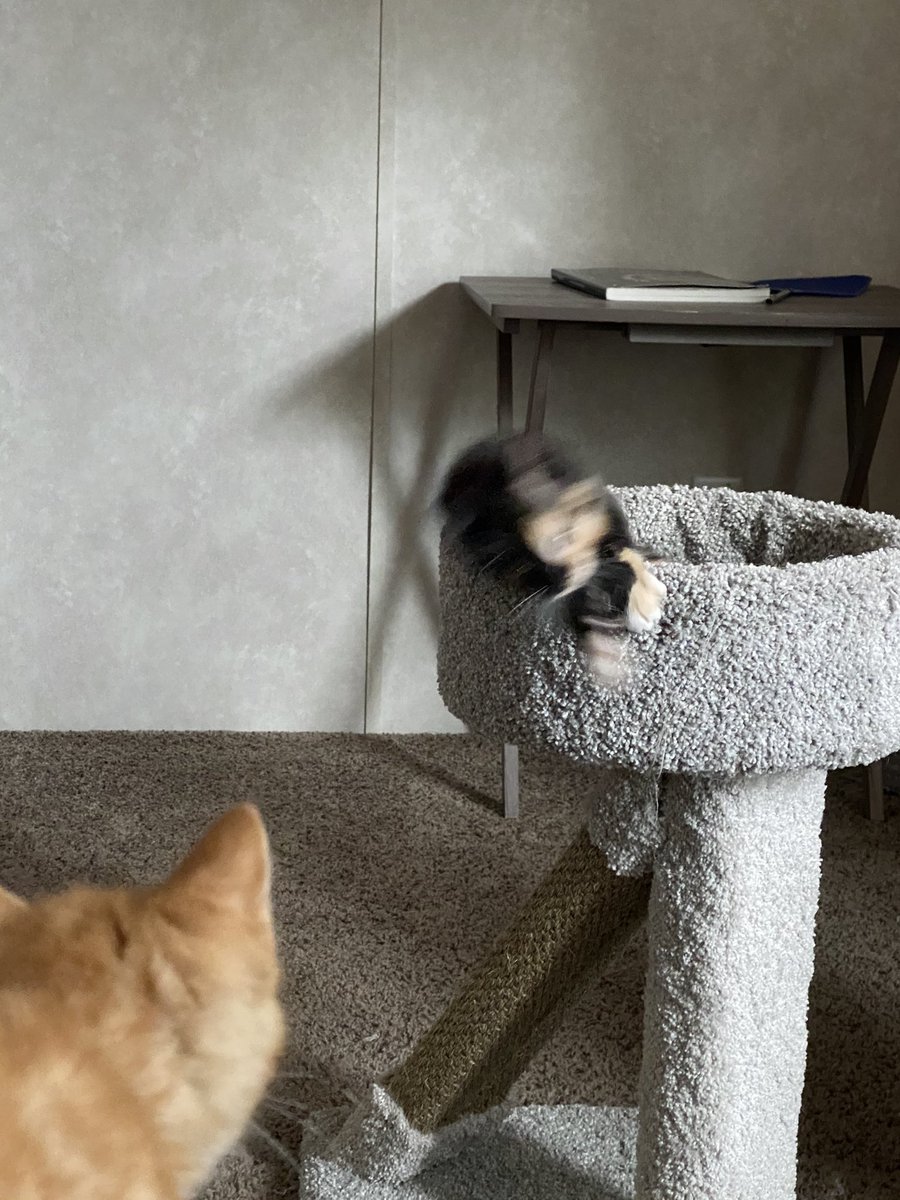 fireball vibing in the corner