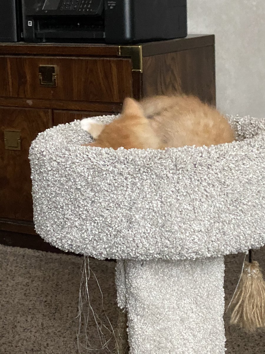 fireball vibing in the corner