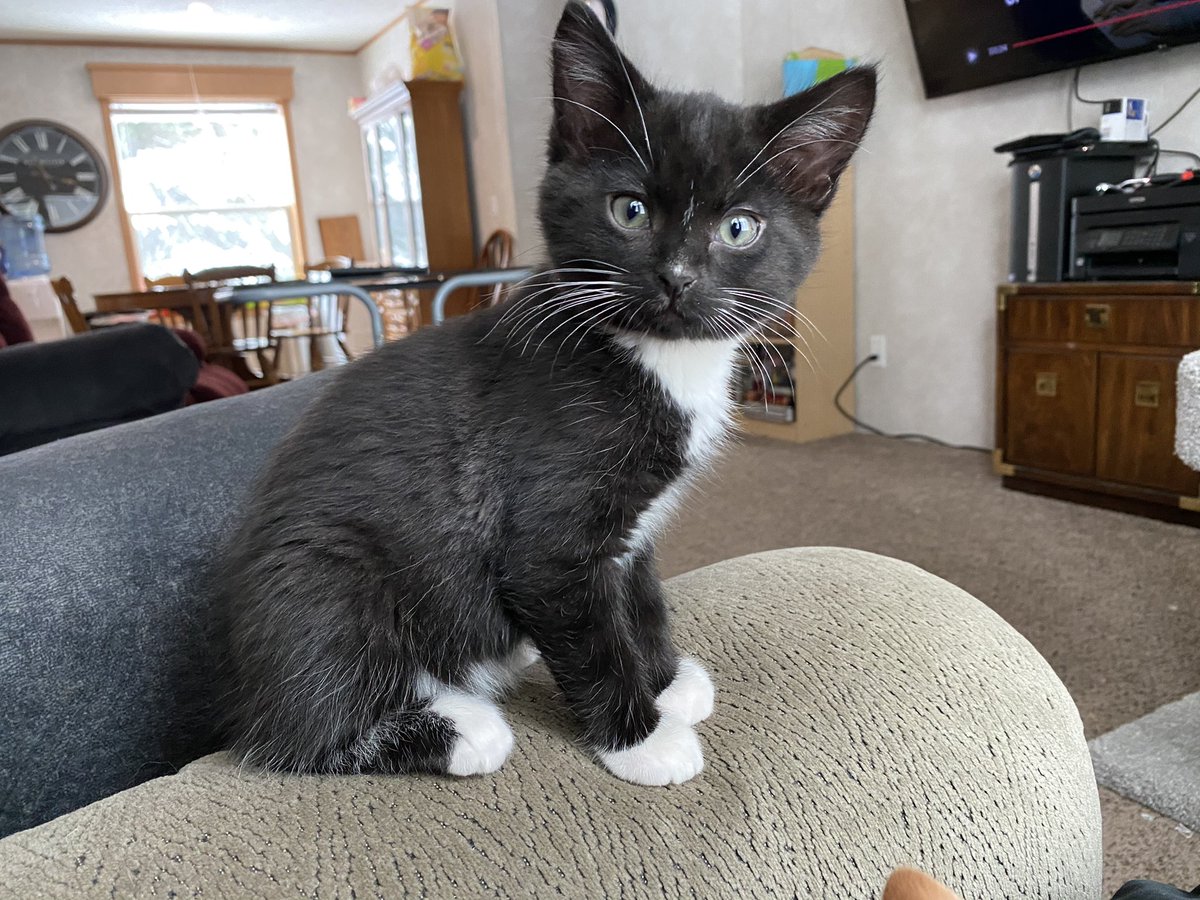 fireball vibing in the corner