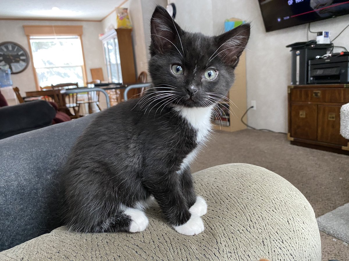 fireball vibing in the corner