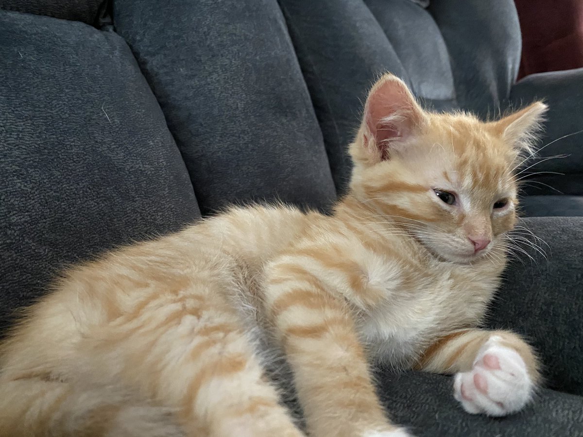 fireball vibing in the corner