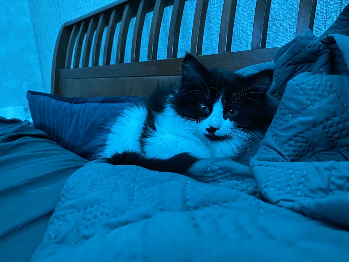 fireball vibing in the corner