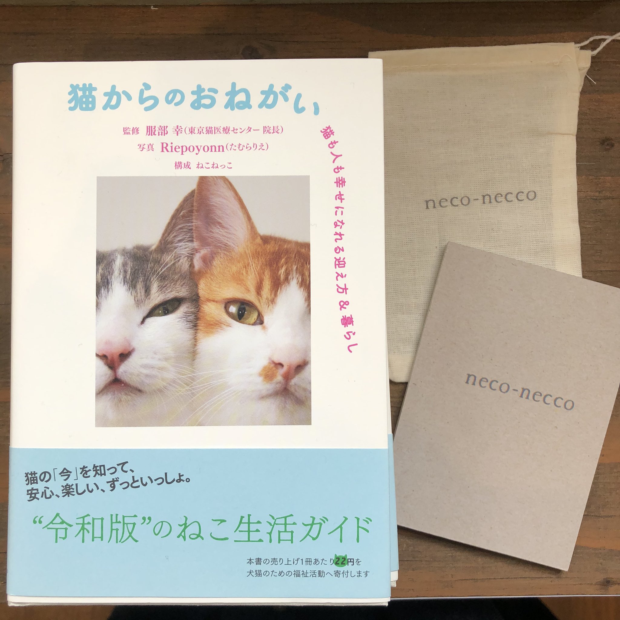 猫からのおねがい Twitter Search Twitter