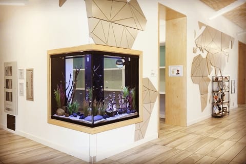 MadeforMarine's tweet photo. MadeforMarine presents luxury customised aquariums in India. ""Bring Positivity to your home with Vaastu oriented aquarium""
#aquariumfans #aquariumtank #interiordesigning #aquariumdesign #tropicalfishtank   #aquariumphotography #innovation #interiordesigns #interiordecoration https://t.co/9cFDnp381N