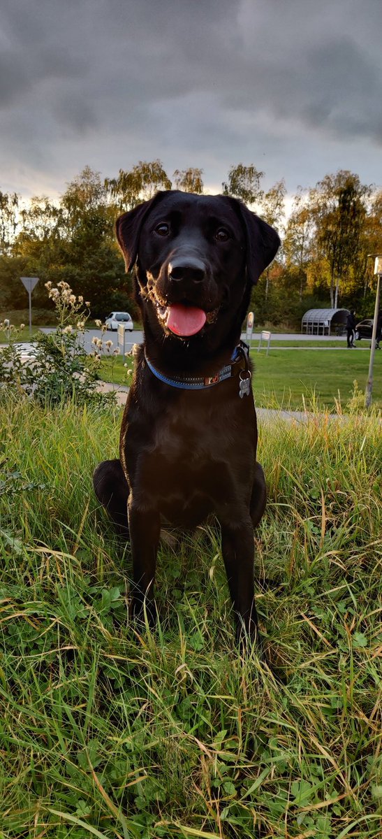 Hope you all have a great day 🥰