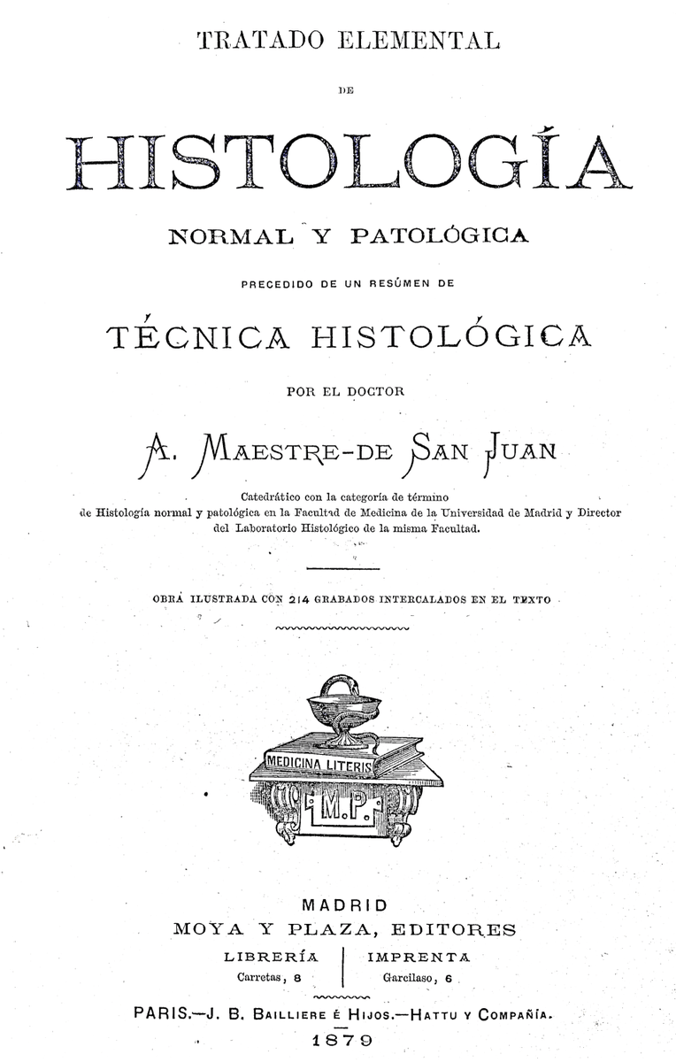 Debido a un accidente causado por la ruptura de un bote que contenía una disolución de sosa cáustica perdió la vista en 1888.