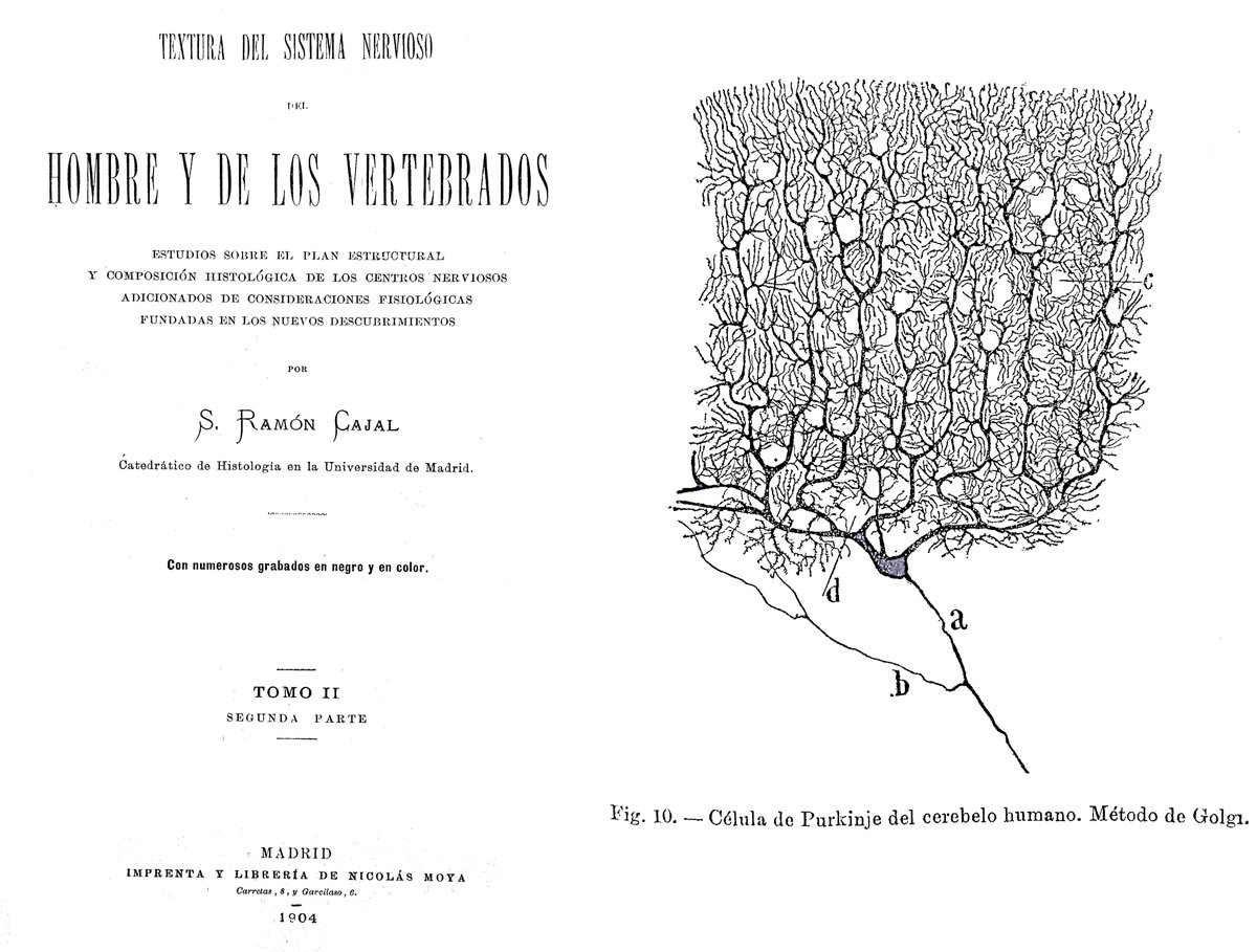 Pero, ante todo y sobre todo, deseaba que mi libro fuera — y perdónese el orgullo — el trofeo puesto a los pies de la decaída ciencia nacional y la ofrenda de fervoroso amor rendida por un español a su menospreciado país…