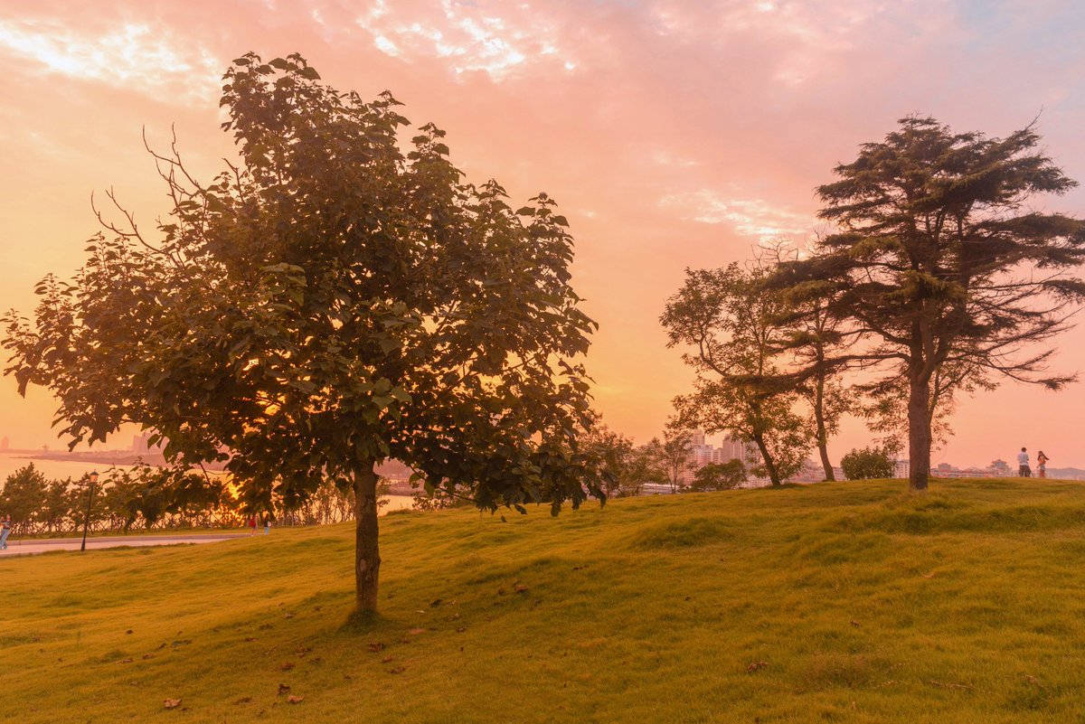 VisitQingdao's tweet photo. Not the sunset glow, but the one who enjoys the stunning view with you is more romantic.💕Let your eyes linger over her beauty for a long while. #visitqingdao #qingdao #iloveqingdao #autumn #romantic #scenicspot #landscape #scenery #sunsetglow #orangeview #wanderlust https://t.co/14IR7igYsl