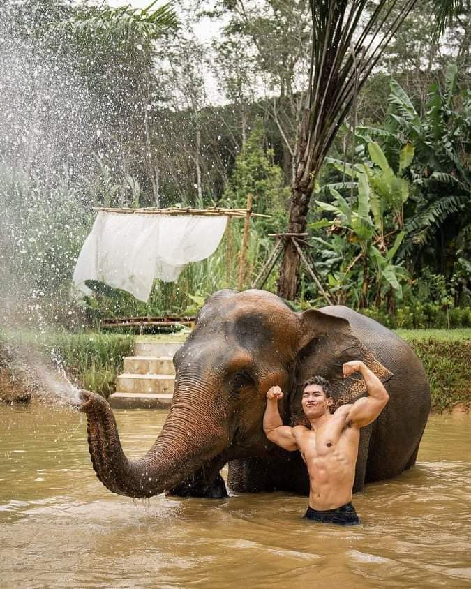 MisterologyReal's tweet photo. LOVE| Please Look after the natural wile animals ❤️☺️☺️

#MisterologyModel #MisterologyHottest #MisterologyAsia #BeautyfulAnimals #HottestGuy #MISTEROLOGY https://t.co/RpQ1EobJFL