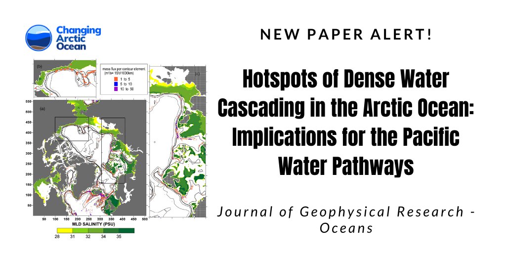 #NewPaper by Maria Luneva & co-authors in @theAGU JGR-Oceans ”Hotspots of Dense Water Cascading in the Arctic Ocean: Implications for the Pacific Water Pathways” Open access here 👉bit.ly/MLunevaJGRPaper @NERCscience #UKinArctic @BMBF_Bund #ArktisImWandel @NOCnews @CAO_APEAR