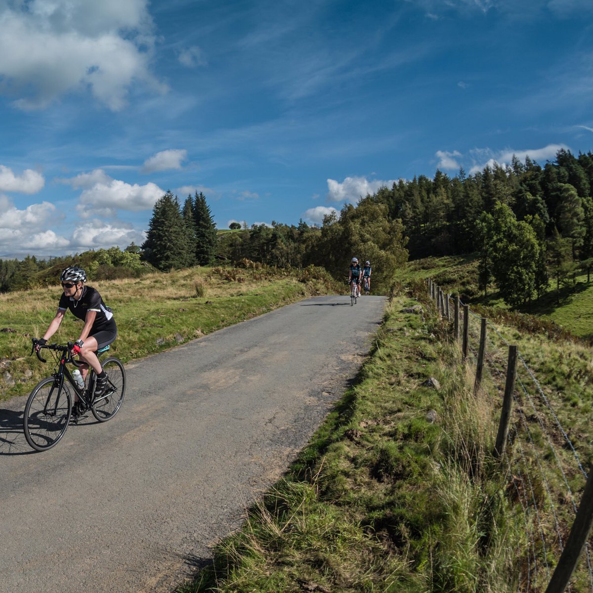 Tarn Hows, Lake District.
#cycling #tarnhows #lakedistrict #cumbria #swipeleft #cyclingphotos #cyclingshots #cyclinglife