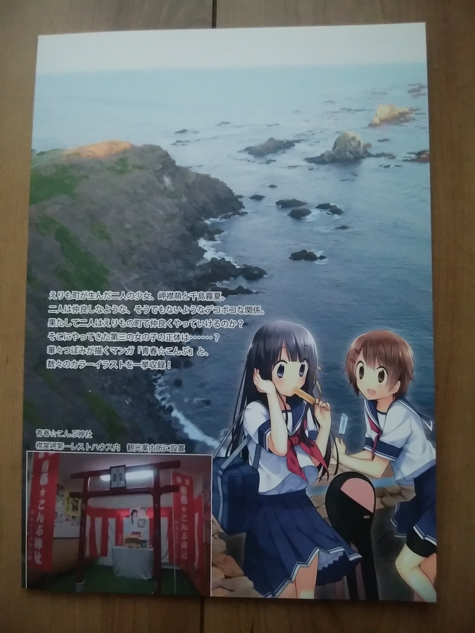 森本泰弘 ありがとうjr三江線 懐古 青春こんぶ 千島霧夏 岬襟萌 キャサリンビューフォート えりも町 Go To トラベルの北海道旅行の予習に 青春 こんぶの本と日高山脈襟裳国定公園の観光案内パンフレットを読みます 青春 こんぶ かわいいです