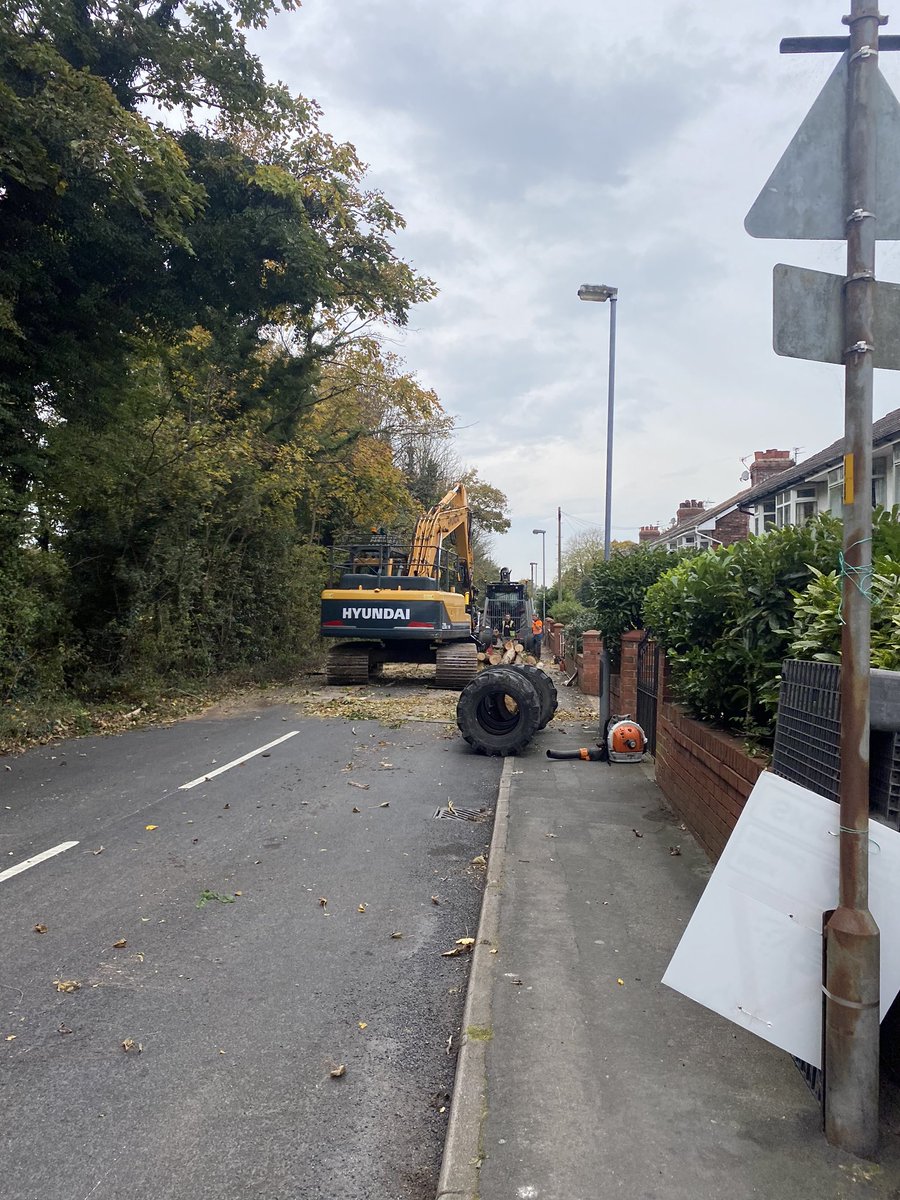 60 dead elms all safely dismantled with are new mvd 700 grapple saw,capable of cutting over 30 inches. <a href="/Excav8/">Exc@v8 Engineering</a> #GameChanger