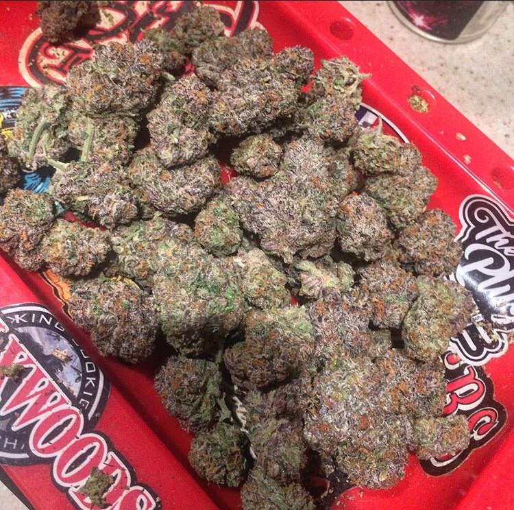ThoWeed3's tweet photo. Commande 🌿👇
WhatsAp+337 52 90 03 88
Télégram:https://t.co/DPvSAQG37A
#Montréaleau #weed #beuh #shit #cocaine #drogue #Alma #Princeville #Sherbrooke #Québec #citation #Annecy_live #meditation #Lyon #Montpellier #hautsdefrance #rastabot #franceverte #cherboug @4Tchat @PSG24hours https://t.co/sZfCN62aYd