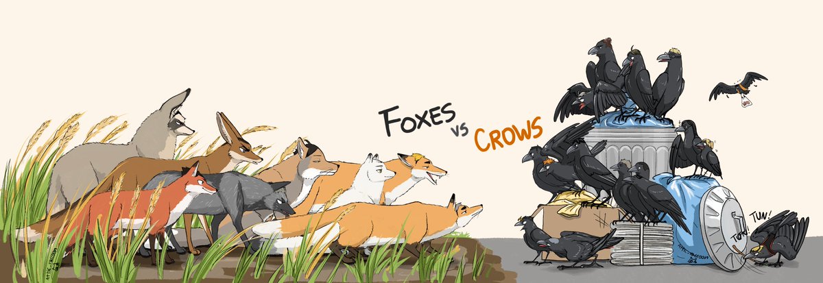 「The Foxes of Inarizaki vs. The Crows of 」|attic_raccoonのイラスト