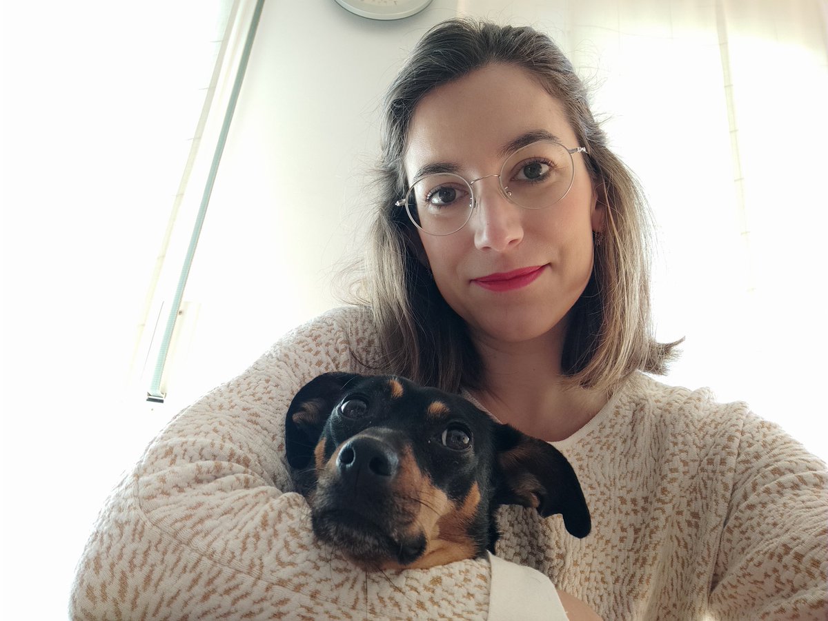 NinaColl_'s tweet photo. Pippa also wanted to join #DogsOf30AEC #30AEC @AlzheimerEurope https://t.co/lyHvlMiDsD