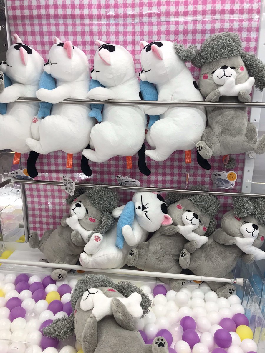 ソユーゲームフィールド釜石店 Sur Twitter 景品入荷情報 犬と猫どっちも飼ってると毎日たのしい すやすやbigぬいぐるみ 入荷しております お魚を持った猫さまと骨を持った犬くんのお昼寝姿がかわいいぬいぐるみです ソユーゲームフィールド釜石店 イオン