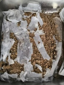 CHINADAWNGROUP's tweet photo. The #biodegradable #modifiedmaterial with #PLA and other #biodegradablematerials as raw materials uses physical or chemical modification methods to prepare fully biodegradable handbag film, #composite film, bubble film and starch filling materials, which can meet different needs https://t.co/UA3tdf8JBN