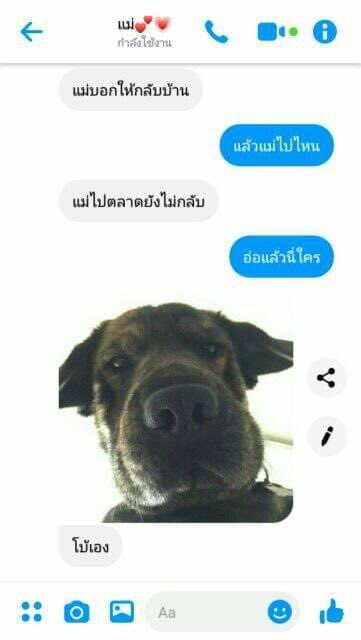 เมดมายเดย์มากๆ 55555555555555