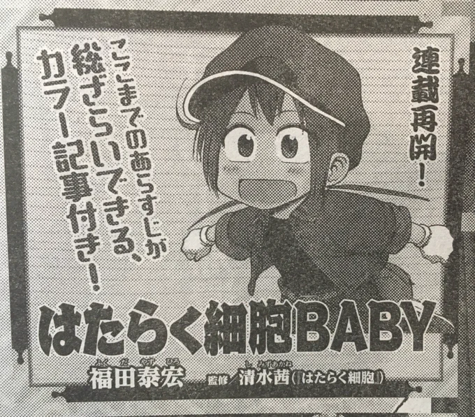 今週のモーニングにはたらく細胞BABYの再開告知が載ってます〜✨
なんと、今までのお話がカラーでおさらいできます☺️
あと1週間ですのでよろしくお願いします✨ 