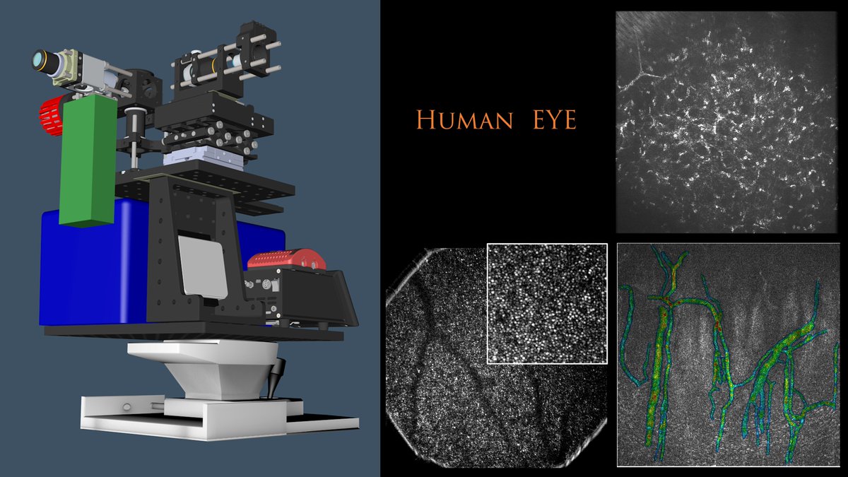 Incubateur PC'up tweet media