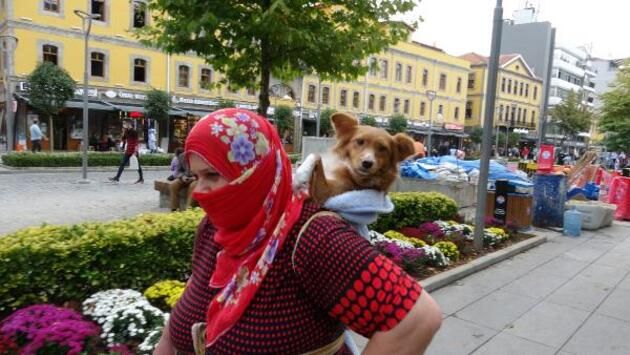 cnnturk's tweet photo. Sahiplendiği köpeği sırtında taşıyor 

Trabzon'da yaşayan Pakize Aksu, sokakta bulup sahiplendiği köpeğini bir an olsun yanından ayırmıyor https://t.co/6CGmXWFiN3 https://t.co/FsIqlGLRw3