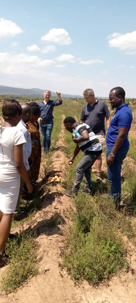 Accampny  farmers on negotiating better deals is one of our duty, <a href="/Agriterra/">Agriterra</a>  support @IsoweluAmcosLtd on #potatoseed price negotiations