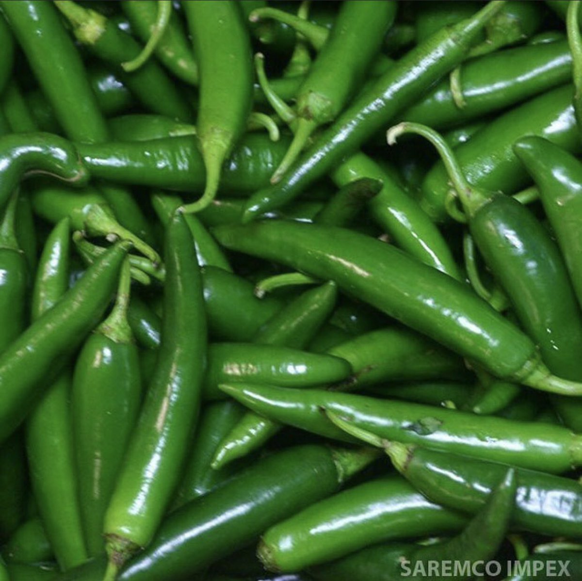 Ketahui Rahsia Besar Cili Hijau Famili Mstar