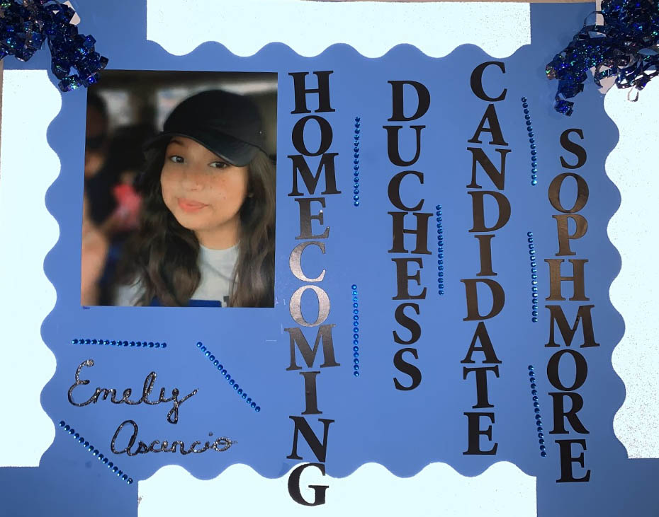 CoWillowridge's tweet photo. Meet the Royal Court Candidates!
#willowridgehs #blazeblue #classandcharacter #EaglePride #hoco2020 https://t.co/UrItGpRAaP