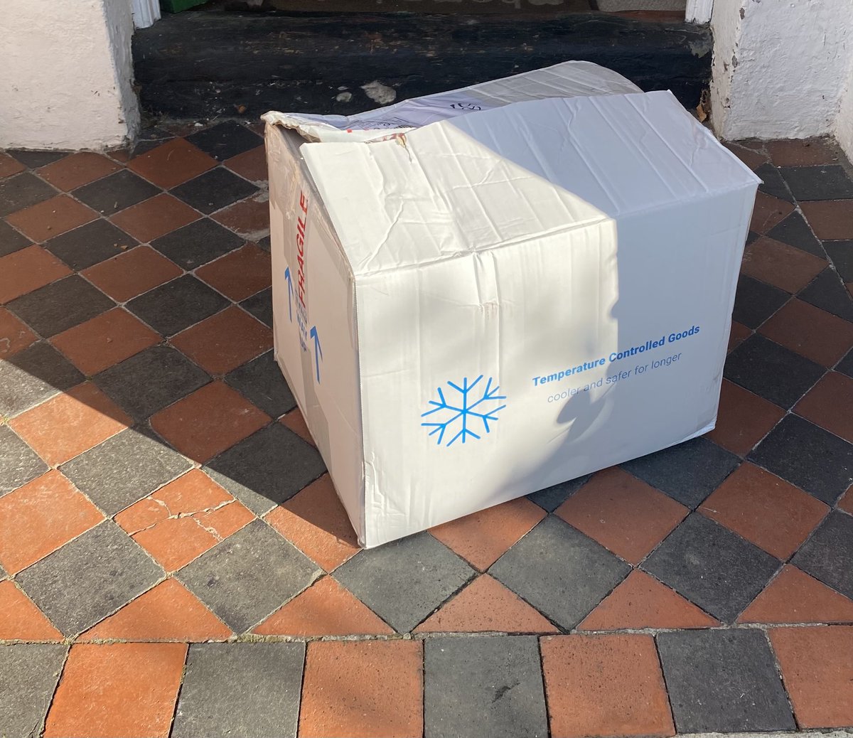 thisjamesc's tweet image. Not saying I’m Brad Pitt or anything, but should I be wary of opening this cooler box that I definitely didn’t order? 😂 (seriously though thank you ⁦@TechNation⁩)
#se7en #appliedaicohort