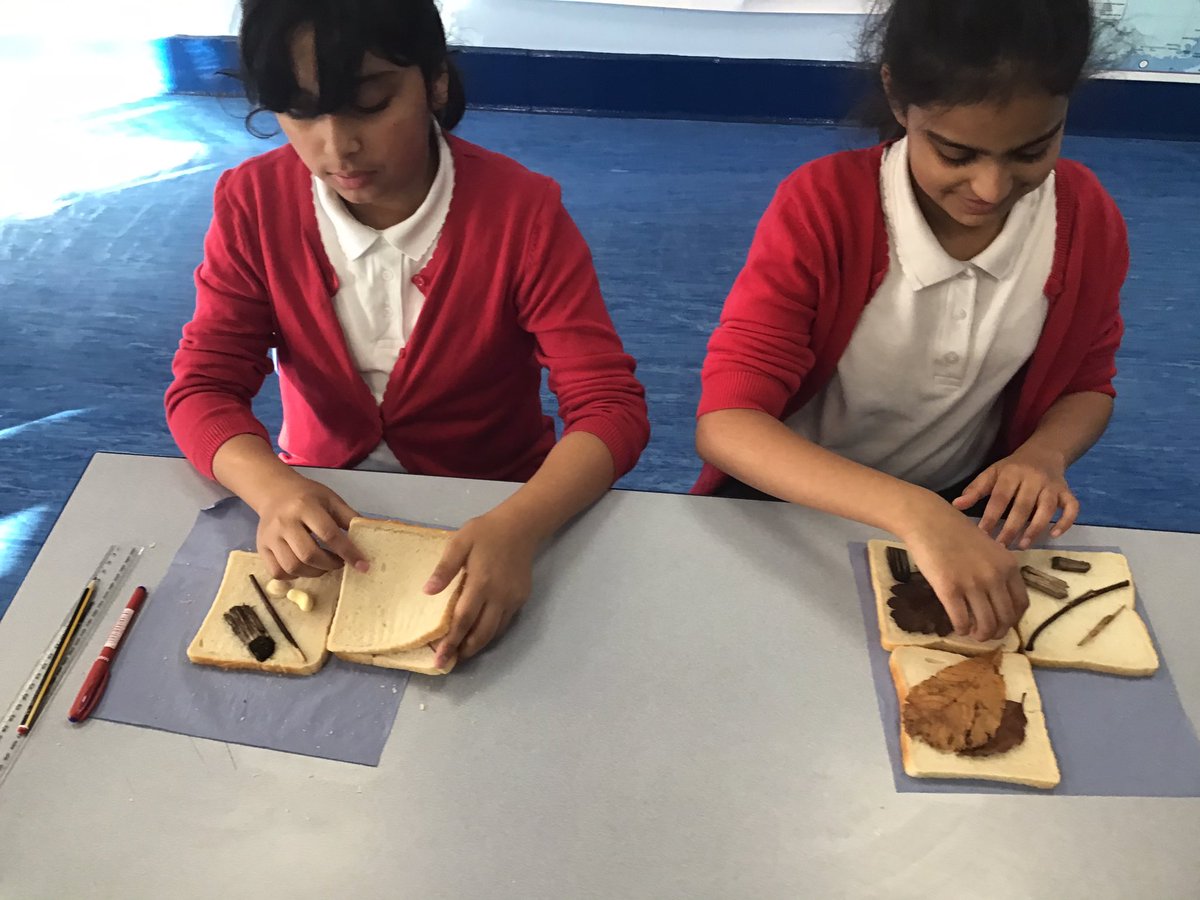 MissHitchlock's tweet photo. The children in 6H @LeverEdgePri  thoroughly enjoyed making “fossil sandwiches” to enhance their learning all about Mary Anning. We had some surprising,y good finds after only a week. #fossilhunter https://t.co/KlUl4Udn05