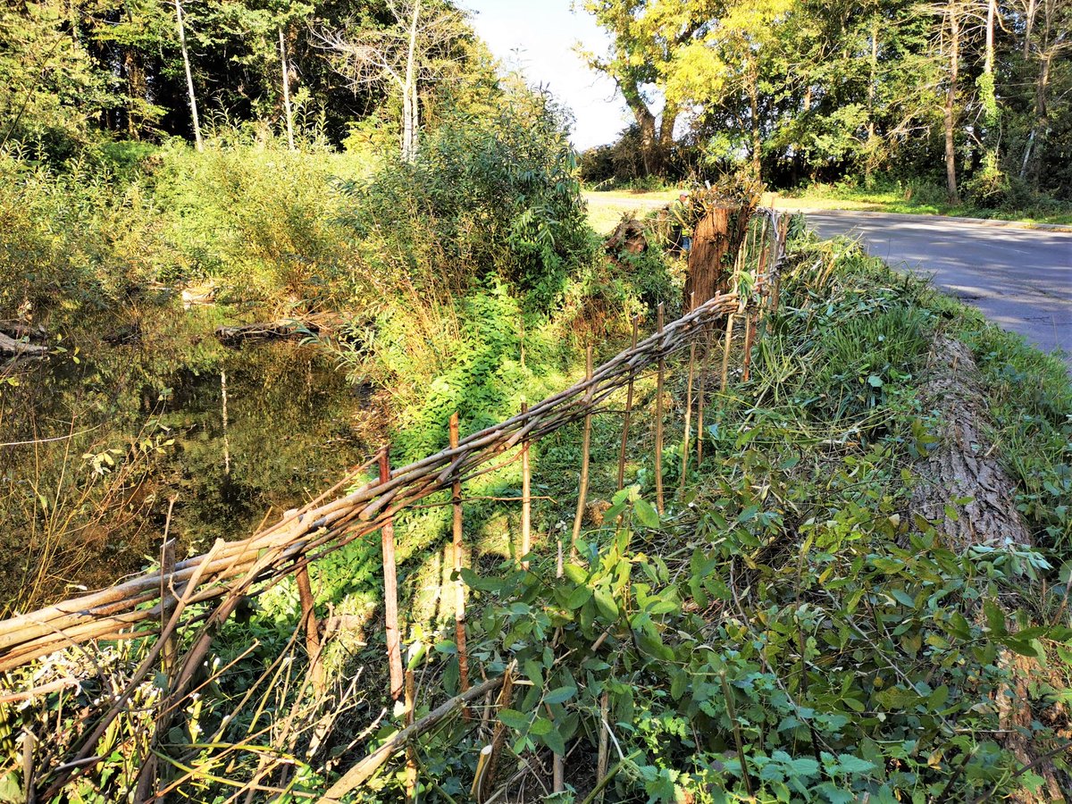 mwhgpage's tweet photo. 5 volunteers helped us complete a woven fence, build steps, plant wetland flora, and clear overgrown brambles, at Rymands pond in #Apuldram, last week. Thank you for helping our #FLOW team transform this site into a better rainfall catcher 🌧️ and a superb space for wildlife! https://t.co/9d1Sl4FNJU