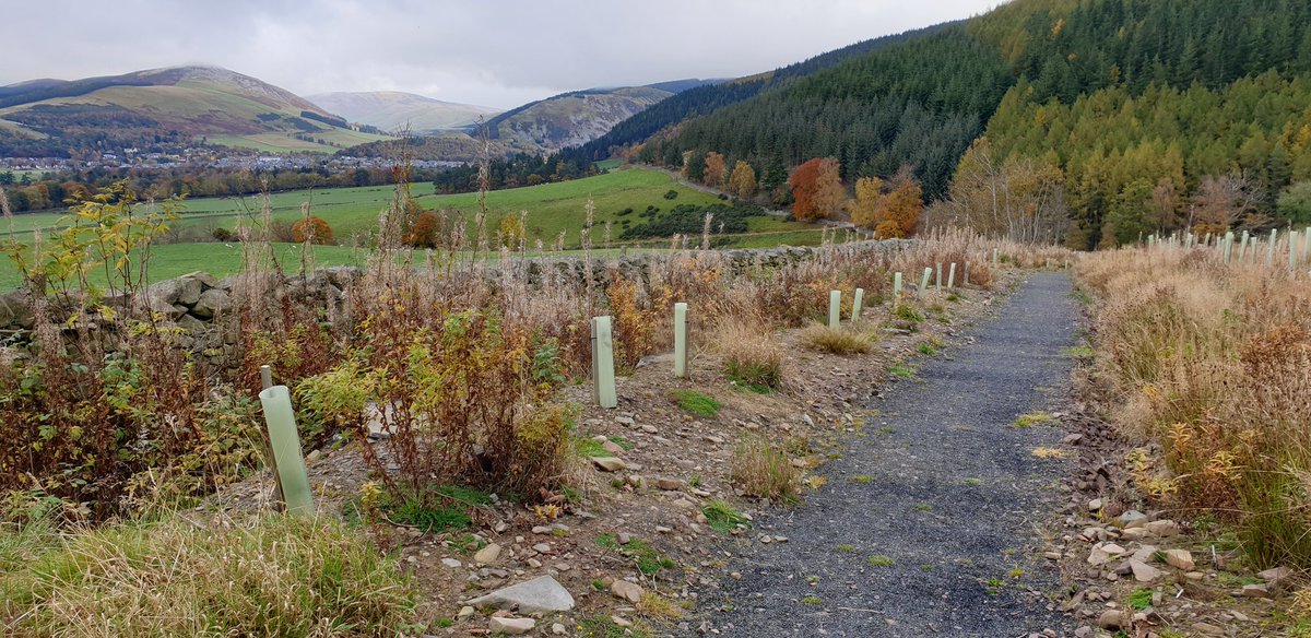 Amanda Bell (@catbell74) on Twitter photo New 5k circuit from Innerleithen toTraqiair and back along the hills...lovely autumn colours and loads of exciting new longer routes to try #runr #LeaveNothingButFootprints #mentalhealthmatters #scottishborders #innerleithen <a href="/runr_uk/">Runr</a> <a href="/TweedValleyUK/">Tweed Valley</a> <a href="/UKRunChat/">UKRunChat</a> <a href="/angie_weather/">angie phillips</a> New 5k circuit from Innerleithen toTraqiair and back along the hills...lovely autumn colours and loads of exciting new longer routes to try #runr #LeaveNothingButFootprints #mentalhealthmatters #scottishborders #innerleithen <a href="/runr_uk/">Runr</a> <a href="/TweedValleyUK/">Tweed Valley</a> <a href="/UKRunChat/">UKRunChat</a> <a href="/angie_weather/">angie phillips</a>