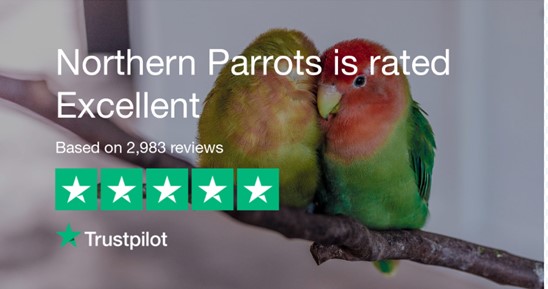 We highly recommend Northern Parrots for all your Parrot supplies but don’t take our word for it – check out their Trustpilot reviews here: bit.ly/2TfE9H5e.