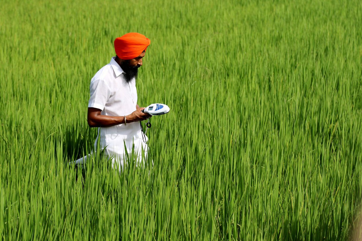 CGIAR (@cgiar) on Twitter photo 💻TUNE IN NOW: <a href="/WorldBank/">World Bank</a> webinar "Failing tech – scaling tech: The journey from ideas to scaling-up" ft. <a href="/CGIAR/">CGIAR</a> innovation and scaling scientist and <a href="/IITA_CGIAR/">IITA</a> country rep for Rwanda <a href="/marc_schut/">Marc Schut</a>. Join here: on.cgiar.org/3mc8yCp
#OneCGIAR 💻TUNE IN NOW: <a href="/WorldBank/">World Bank</a> webinar "Failing tech – scaling tech: The journey from ideas to scaling-up" ft. <a href="/CGIAR/">CGIAR</a> innovation and scaling scientist and <a href="/IITA_CGIAR/">IITA</a> country rep for Rwanda <a href="/marc_schut/">Marc Schut</a>. Join here: on.cgiar.org/3mc8yCp
#OneCGIAR