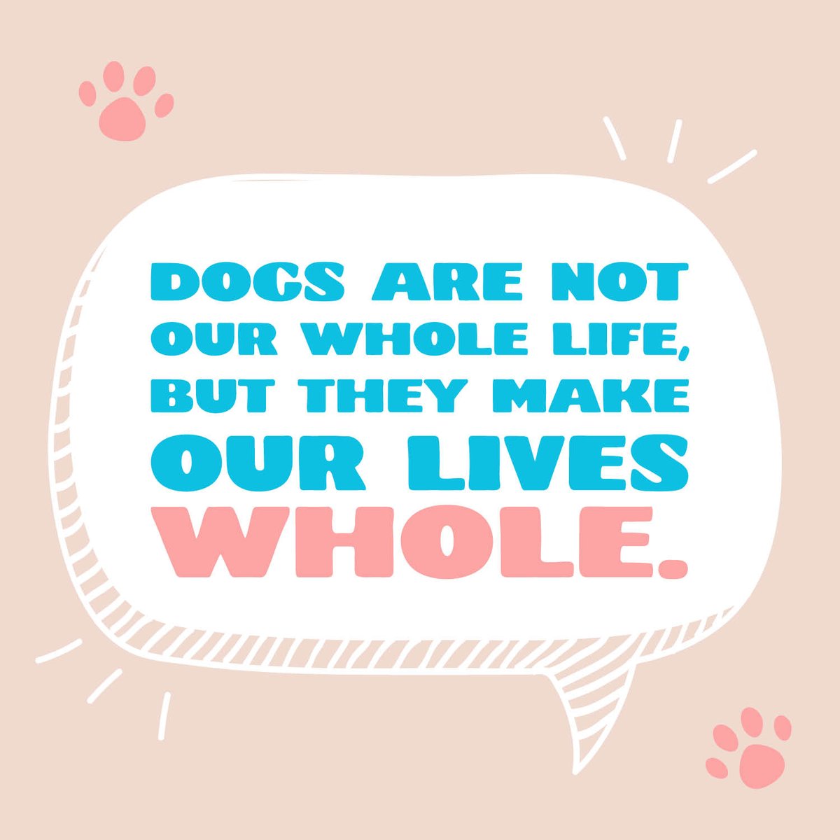 NepalDogChews's tweet photo. We wouldn't change a thing 🐕🐶
.
#nepaldogchews #ndchews #dogs #pets #love #blessed https://t.co/oXahKkEhLI