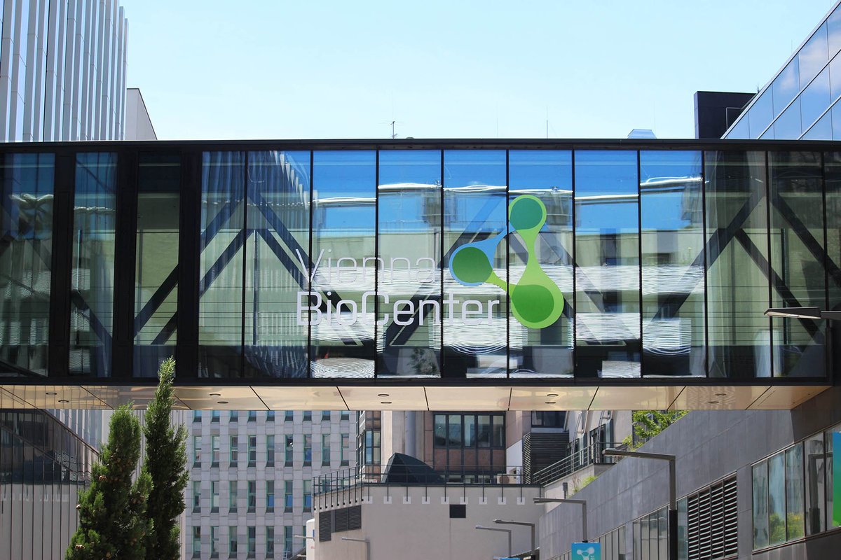 Hiring again: Another great opportunity to join our growing and diverse team as Administrative Assistant m/f/d: quantro-tx.com/careers/#caree…