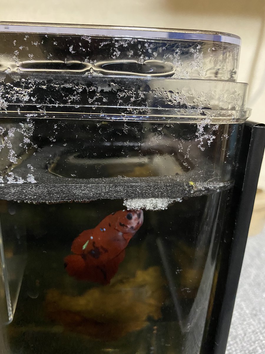 俺のrについてこれるか
