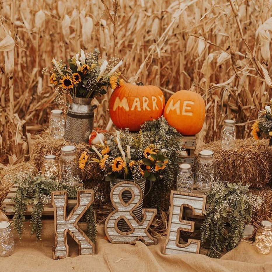 Let's give 'em pumpkin to talk about! 🎃 Congratulations to Kendall and Elliot on their pumpkin patch proposal! 💍✨ {Macy Frances}