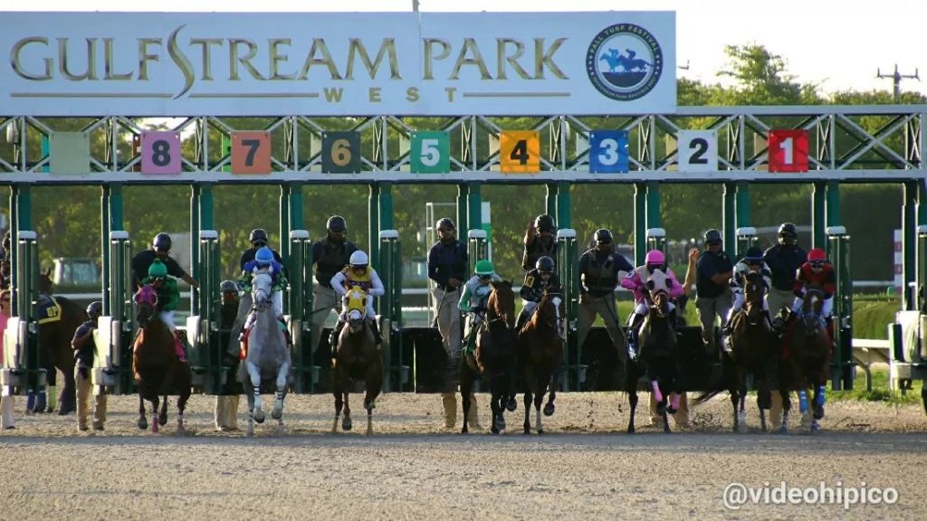 fastmaracucho's tweet photo. #HipismoInternacional #Jueved 22/10/20 ACTIVOS ✍📲👀 Con la mejor #información para las carreras #Americanas 🇺🇸 hoy a disparar para 4 #Hipodromos 💪
#GulfstreamParkWets
#BelmontPark
#Keeneland
#GoldeGate
📲0424 680 65 88
📲0412 472 14 89
(TRABAJO SOLO CON GENTE SERIA) https://t.co/yolXluwx43