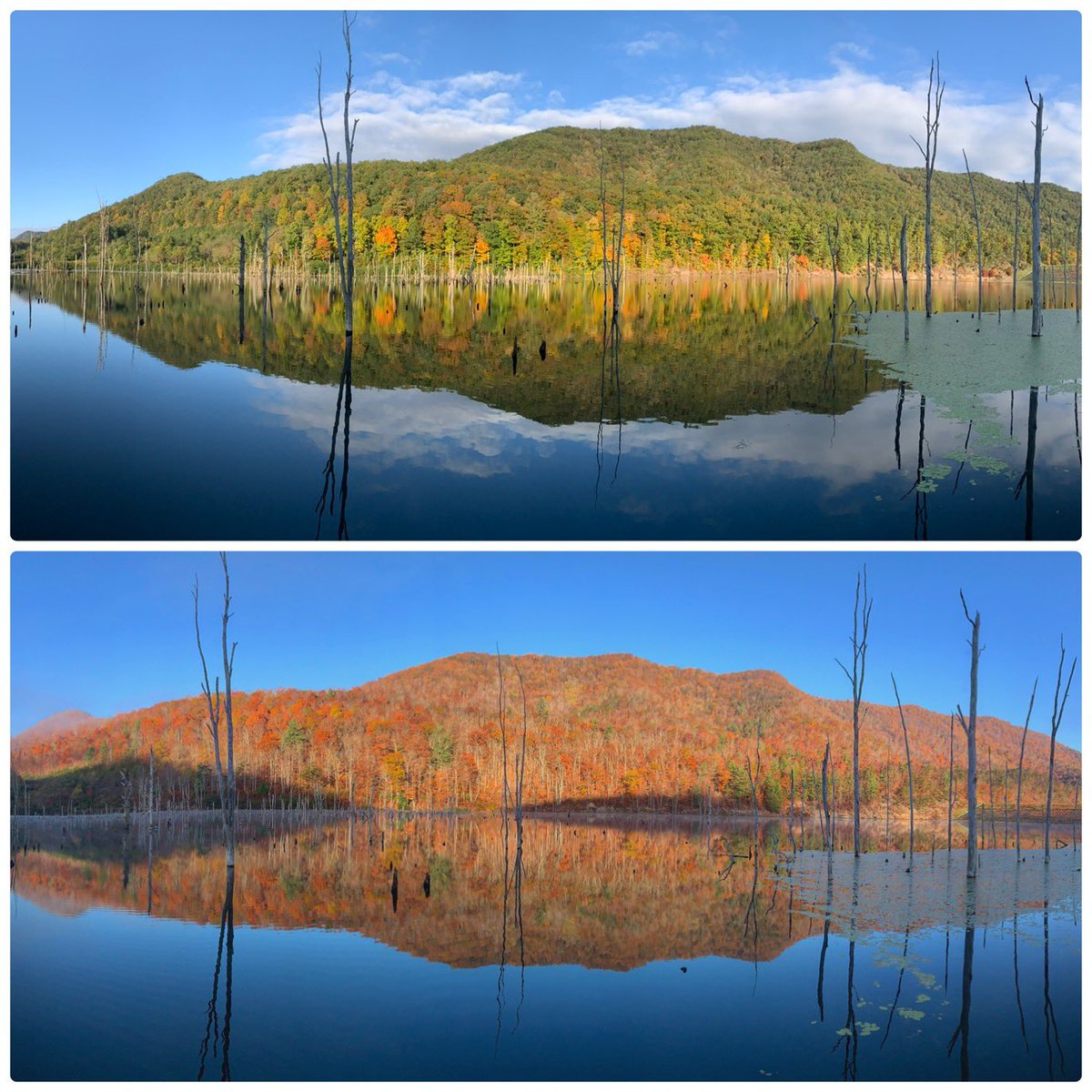 richcatxs2's tweet photo. What a difference two weeks makes.  @WVLiving @WVtourism #tuckahoelake #wildandwonderfulwv https://t.co/unc9yGhk9T